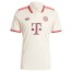 Bayern Munich Third Football Shirt 24 25